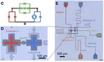 Near-Ultrastrong Nonlinear Light-Matter Coupling in Superconducting Circuits